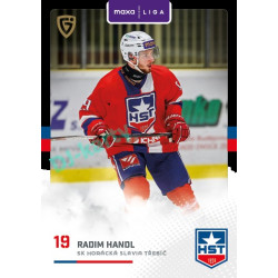 2025/26 Goal Cards Maxa liga 2.s. #TRE - 17 Radim Handl Canvas Parallel
