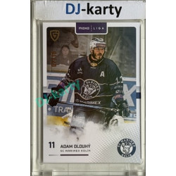 2025/26 Goal Cards Maxa liga 2.s. #KOL - 22 Adam Dlouhý Parallel xx/10