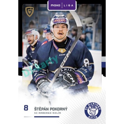 2025/26 Goal Cards Maxa liga 2.s. #KOL - 20 Štěpán Pokorný Canvas Parallel