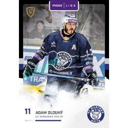 2025/26 Goal Cards Maxa liga 2.s. #KOL - 22 Adam Dlouhý Canvas Parallel