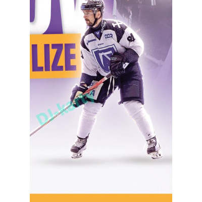 2025/26 Goal Cards Maxa liga 2.s. #PZD-B9 Havířov Puzzle