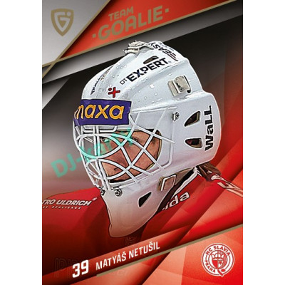 2025/26 Goal Cards Maxa liga 2.s. #TG-04 Matyáš Netušil Team Goalie