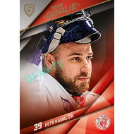 2025/26 Goal Cards Maxa liga 2.s. #TG-02 Petr Hamalčík Team Goalie