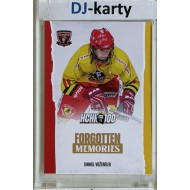 2025 MK 100 let na soutoku Hradec Králové #092 Daniel Voženílek Forgotten Memories