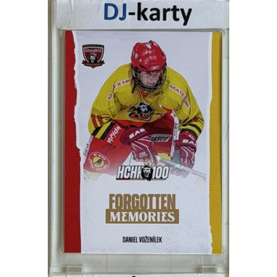 2025 MK 100 let na soutoku Hradec Králové #092 Daniel Voženílek Forgotten Memories