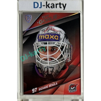 2025/26 Goal Cards Maxa liga 2.s. #TG-21 Richard Běhula Team Goalie 05/15