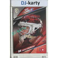 2025/26 Goal Cards Maxa liga 2.s. #TG-33 David Věřmiřovský Team Goalie 05/15