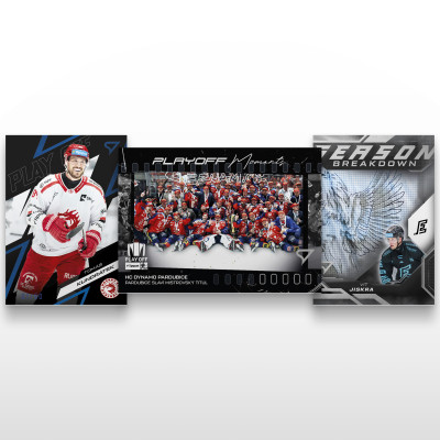2025/26 Sportzoo ELH Play Off Hobby Box