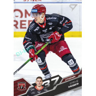 2025/26 Sportzoo ELH Play Off #383 Steve Moses