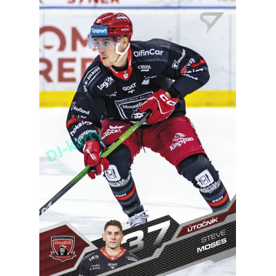 2025/26 Sportzoo ELH Play Off #383 Steve Moses