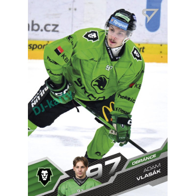2025/26 Sportzoo ELH Play Off #391 Adam Vlasák