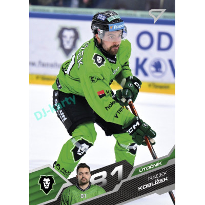 2025/26 Sportzoo ELH Play Off #394 Radek Koblížek