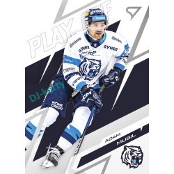 2025/26 Sportzoo ELH Play Off #53 Adam Musil Play Off