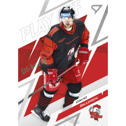 2025/26 Sportzoo ELH Play Off #69 David Škůrek Play Off