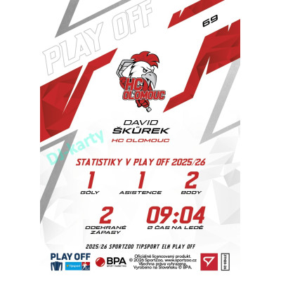 2025/26 Sportzoo ELH Play Off #69 David Škůrek Play Off