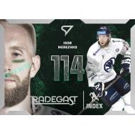 2025/26 Sportzoo ELH Play Off #RI-14 Igor Merezhko Radegast Index
