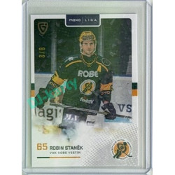 2025/26 Goal Cards Maxa liga 2.s. #VSE-17 Robin Staněk Jungle Parallel 3/6