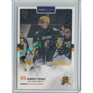 2025/26 Goal Cards Maxa liga 2.s. #VSE-29 Robert Černý Jungle Parallel 3/6