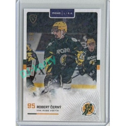 2025/26 Goal Cards Maxa liga 2.s. #VSE-29 Robert Černý Jungle Parallel 3/6