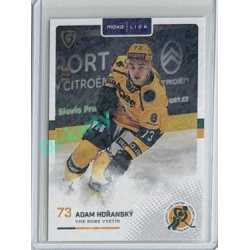 2025/26 Goal Cards Maxa liga 2.s. #VSE-19 Adam Hořanský Jungle Parallel 3/6