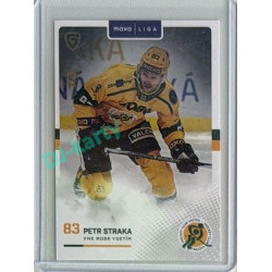 2025/26 Goal Cards Maxa liga 2.s. #VSE-25 Petr Straka Jungle Parallel 3/6