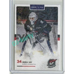 2025/26 Goal Cards Maxa liga 2.s. #CHOM-18 Ádám Vay Jungle Parallel 3/6