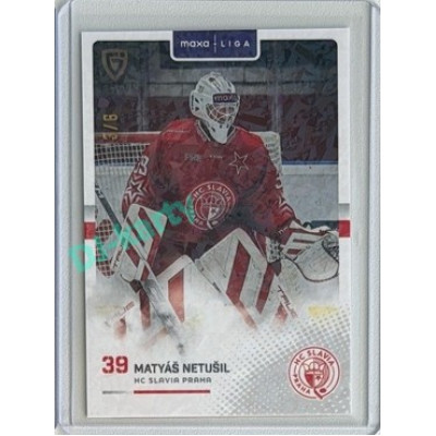 2025/26 Goal Cards Maxa liga 2.s. #SLA-28 Matyáš Netušil Jungle Parallel 3/6