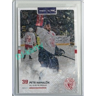 2025/26 Goal Cards Maxa liga 2.s. #SLA-16 Petr Hamalčík Jungle Parallel 3/6