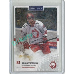 2025/26 Goal Cards Maxa liga 2.s. #FMI-28 Robin Všetečka Jungle Parallel 3/6