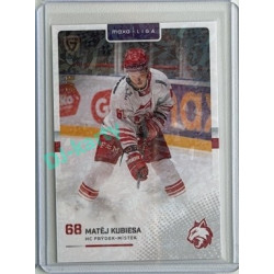 2025/26 Goal Cards Maxa liga 2.s. #FMI-19 Matěj Kubiesa Jungle Parallel 3/6