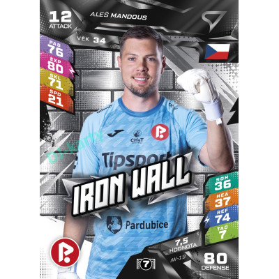 2026/27 Sportzoo Chance Liga DUEL #IW-19 Aleš Mandous Iron Wall