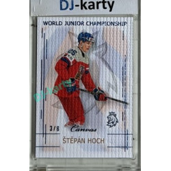2025/26 Real Cards serie 1 #U20-08 Štěpán Hoch World junior Championship U20 2025/26 Canvas Blue x/8