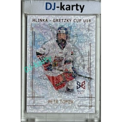 2025/26 Real Cards serie 1 #HG-22 Petr Tomek Hlinka-Gretzky cup U18 Bronze Jungle xx/15
