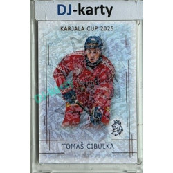 2025/26 Real Cards serie 1 #KC-03 Tomáš Cibulka Karjala Cup 2025 Bronze Jungle xx/15
