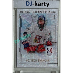 2025/26 Real Cards serie 1 #HG-20 Vojtěch Švancar Hlinka-Gretzky cup U18 Bronze Jungle xx/15