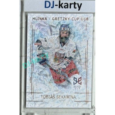 2025/26 Real Cards serie 1 #HG-18 Tobiáš Sekanina Hlinka-Gretzky cup U18 Bronze Jungle xx/15