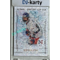 2025/26 Real Cards serie 1 #HG-17 Dominik Řípa Hlinka-Gretzky cup U18 Bronze Jungle xx/15