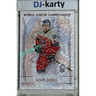 2025/26 Real Cards serie 1 Collectors Edition #U20-01 Adam Benák World junior Championship U20 2025/26 Bronze Jungle xx/15