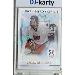 2025/26 Real Cards serie 1 Collectors Edition #HG-11 Václav Nedorost Hlinka-Gretzky cup U18 Emerald xx/22