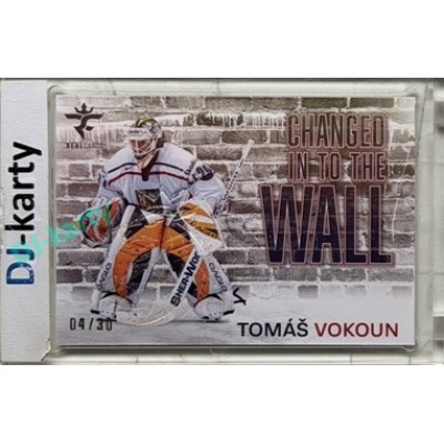 2025/26 Real Cards serie 1 Collectors Edition #CHW-13 Tomáš Vokoun Changed in to the wall Crosslight xx/30