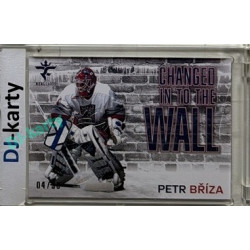 2025/26 Real Cards serie 1 Collectors Edition #CHW-19 Petr Bříza Changed in to the wall Crosslight xx/30