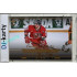 2025/26 Real Cards serie 1 Collectors Edition #MCH-39 Radek Bonk Memories of the Champions Wien 96 Canvas Gold xx/30