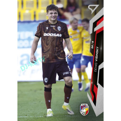 2026/27 Sportzoo Chance Liga 1. série #034 DENIS VIŠINSKÝ