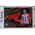 2026/27 Sportzoo Chance Liga 1. série #GJ-VA Daniel Vašulín Game Jersey 48/70