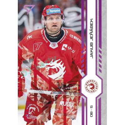 2024/25 Sportzoo ELH 2. serie #254 Jakub Jeřábek Purple Iceberg xx/60