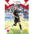 2024/25 Sportzoo Chance Liga 1. série #024 Ivan Schranz Copper Diamond xx/70