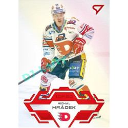 2023/24 Sportzoo ELH 2. serie #269 Michal Hrádek Goal Light 1of60