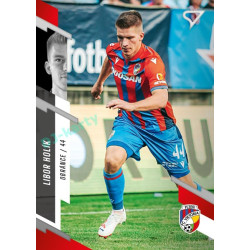 2023/24 Sportzoo Fortuna Liga 2. série #229 Libor Holík