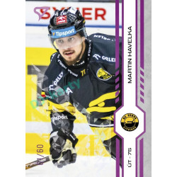 2024/25 Sportzoo ELH 2. serie #284 Martin Havelka Purple Iceberg xx/60