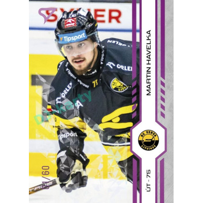 2024/25 Sportzoo ELH 2. serie #284 Martin Havelka Purple Iceberg xx/60